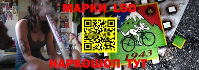 твердый Новодвинск