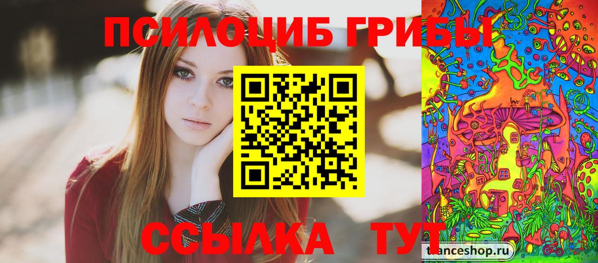 Галлюциногенные грибы прущие грибы  Вход с VPN  Миллерово 