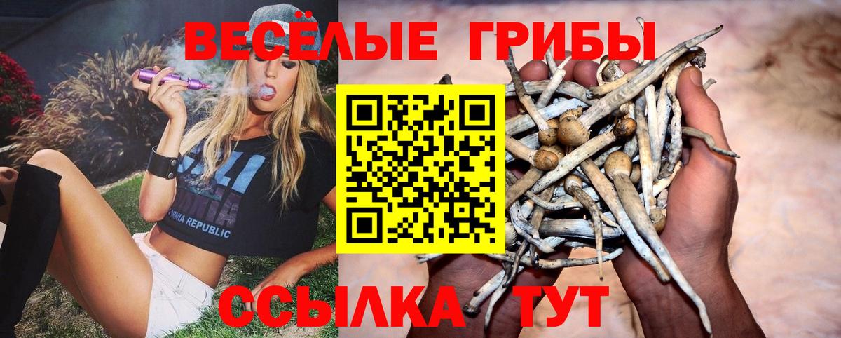 Псилоцибиновые грибы MAGIC MUSHROOMS Миллерово